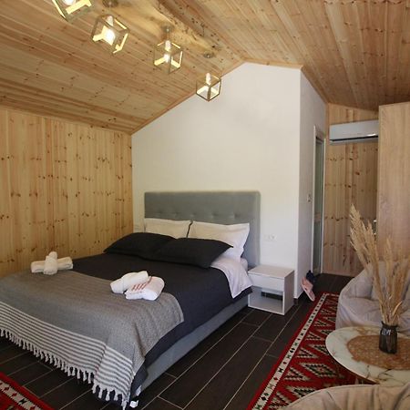 Villa Lugina E Shengjergjit ,Bujtinat à Tirana Extérieur photo