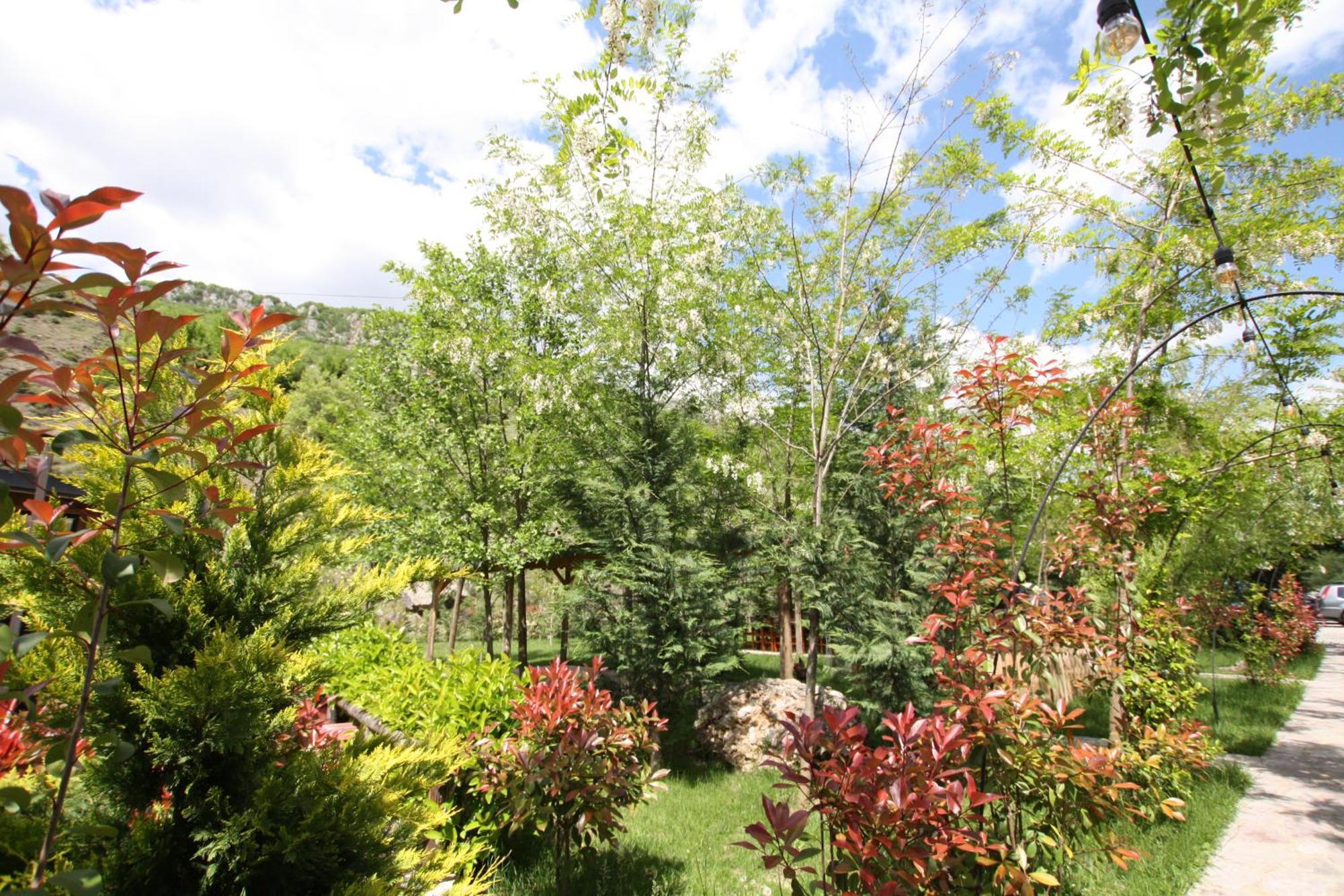 Villa Lugina E Shengjergjit ,Bujtinat à Tirana Extérieur photo