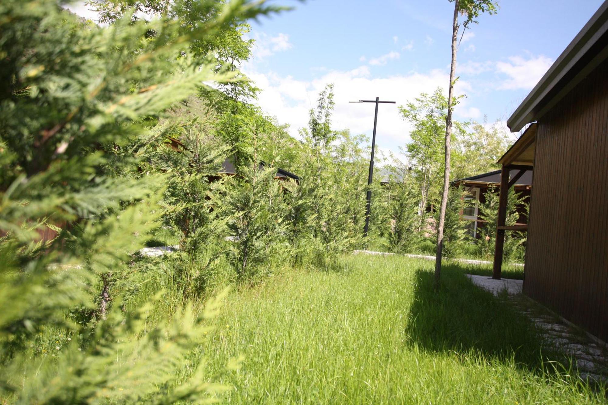 Villa Lugina E Shengjergjit ,Bujtinat à Tirana Extérieur photo